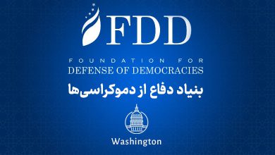 بنیاد دفاع از دموکراسی