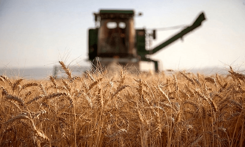 نقش رایزنان کشاورزی در توسعه تجارت غذا