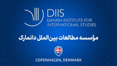 موسسه مطالعات بین الملل دانمارک