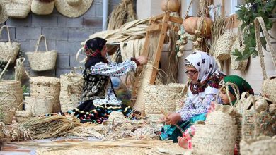 بررسی فعالیت اقتصادی زنان خانه دار