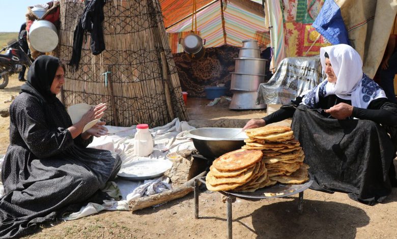 فراتحلیل مطالعات توانمندسازی زنان در ایران