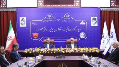 خصوصی سازی؛ خلاها و آسیب ها