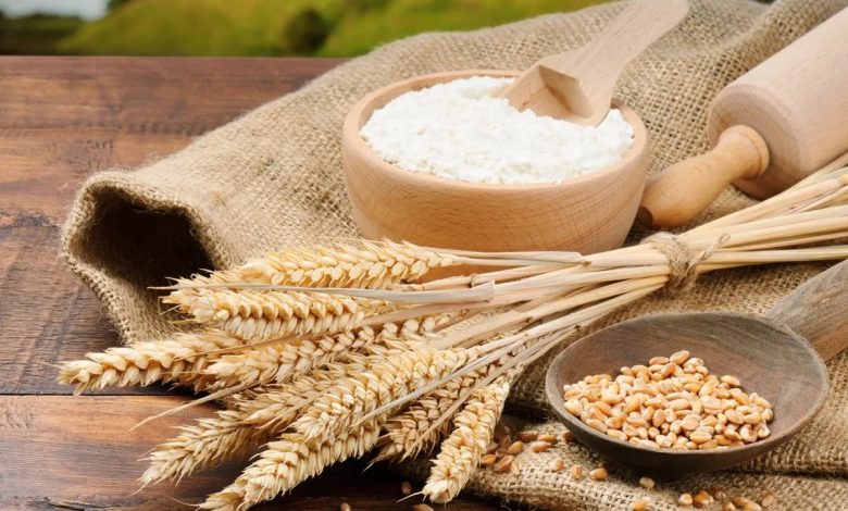 مسیر امنیت غذایی تولید گندم