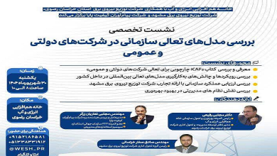 بررسی مدل های تعالی سازمانی در شرکت های دولتی و عمومی