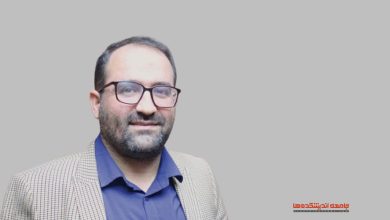 نسبت مجلس شورای اسلامی و نخبگان - در گفتگو با سعید نریمان