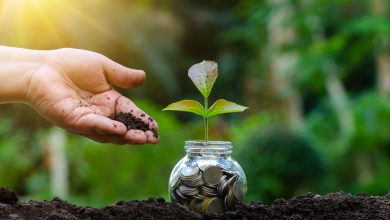 سرمایهداری نوین؛ از استثمار تا استارتاپ!