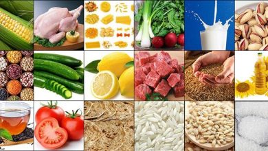الگوی تامین کالای اساسی در دوران جدید