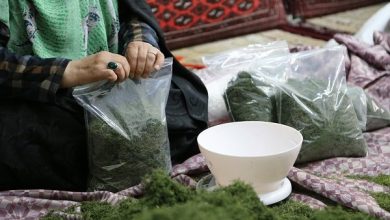 مدیریت استراتژی پدافند غیرعامل برای کسب‌وکارهای خرد و خانگی در شرایط جنگی