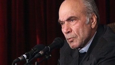 رضا داوری اردکانی: ایران بیش از یک کشور است