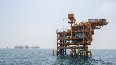 دشمنان روی زمین، شرکای زیر زمین