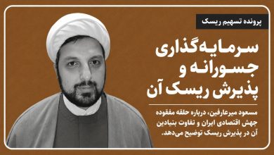سرمایهگذاری جسورانه و پذیرش ریسک آن