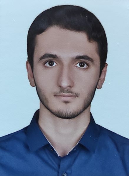 علی برزویی