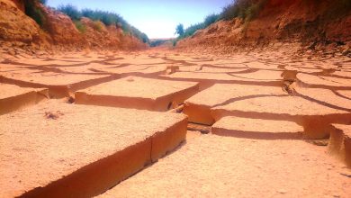 مدیریت بهره وری آب در استان خراسان رضوی