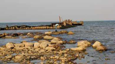 بررسی آثار زیست محیطی روند کاهشی تراز سطح آب دریای خزر