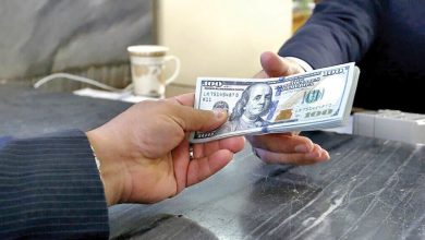 راهکارهایی برای موفقیت سیاست حذف ارز ترجیحی